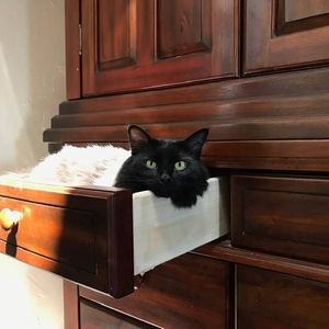 Meet your Posher, Monique